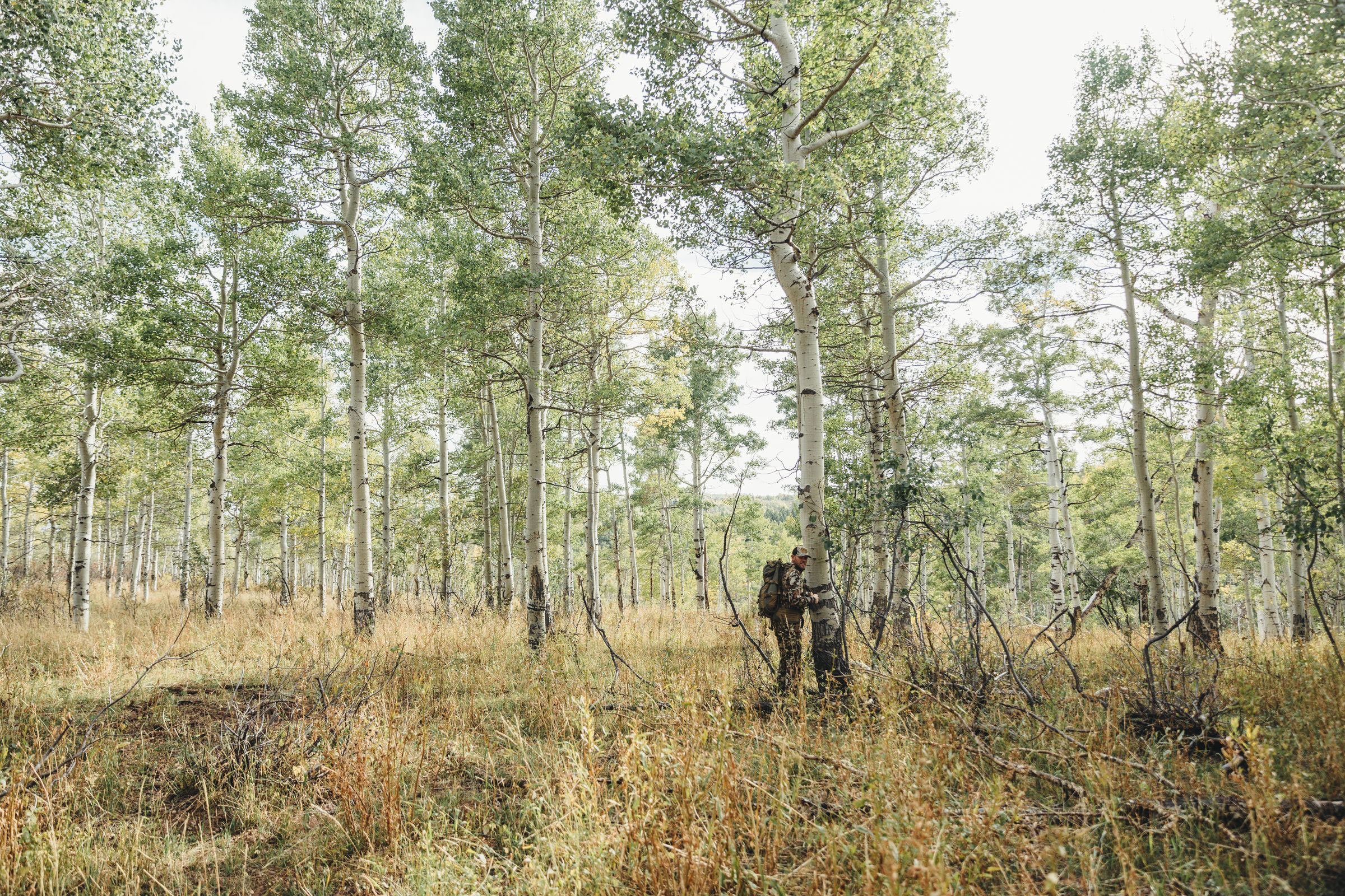 hunter walking through trees